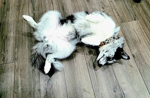 bomba salon and spa, beauty salon in Middletown, NY